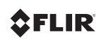 FLIR